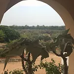 Carola غالّيبولي