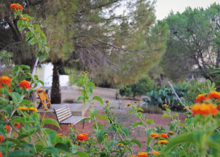 Bed & Breakfast Carola 3*