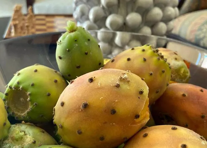 Carola Couette-café