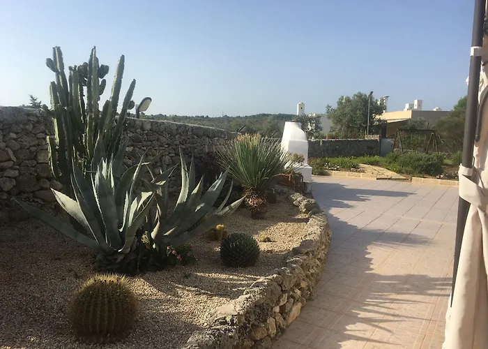 Carola Couette-café Gallipoli