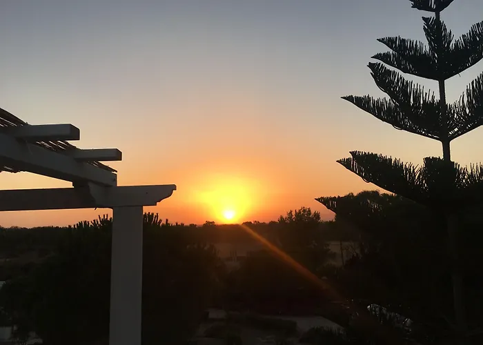 Carola Couette-café